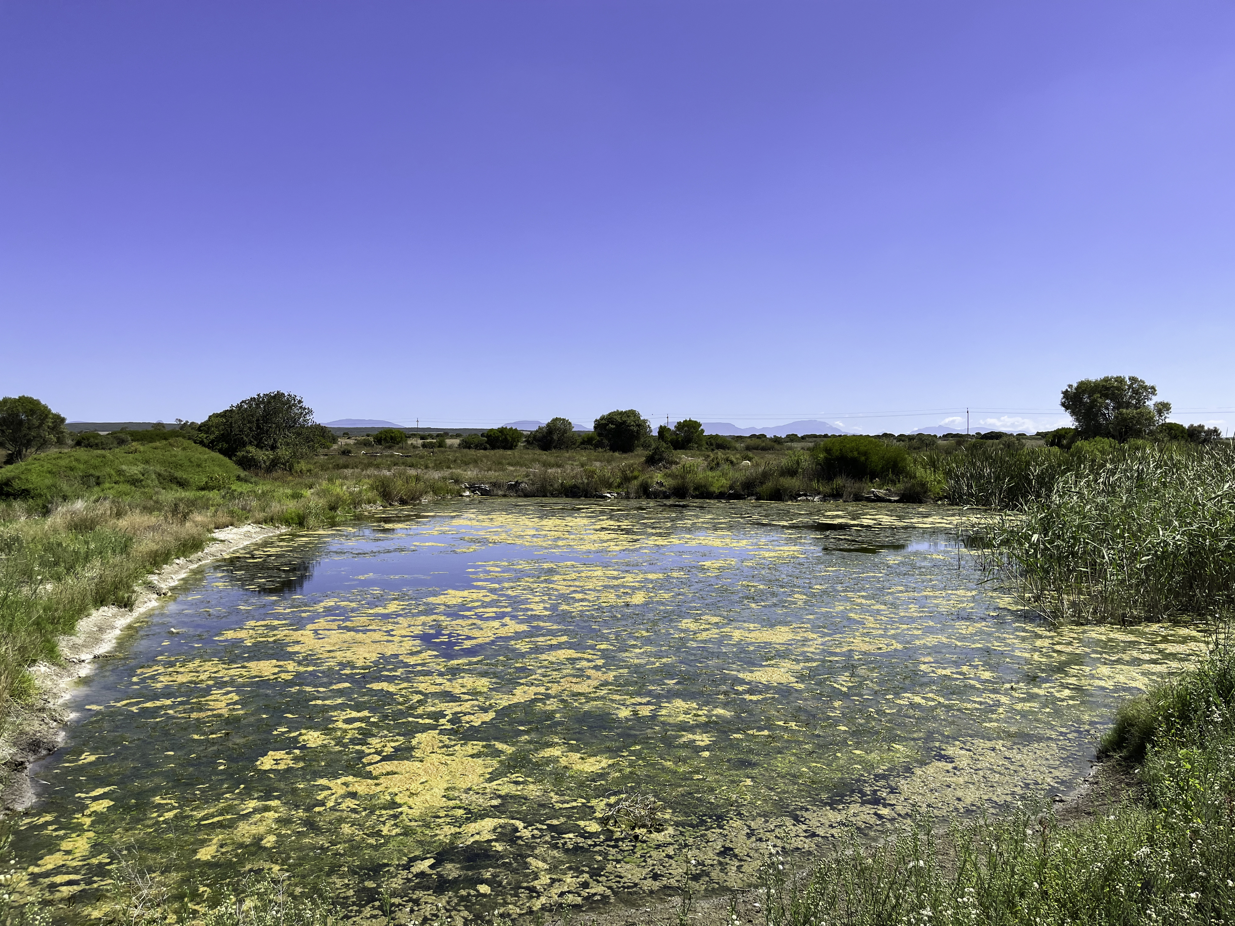 3 Bedroom Property for Sale in Stilbaai Rural Western Cape